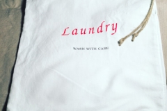 SC_Laundry04